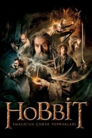 Hobbit 2: Smaug’un Çorak Toprakları